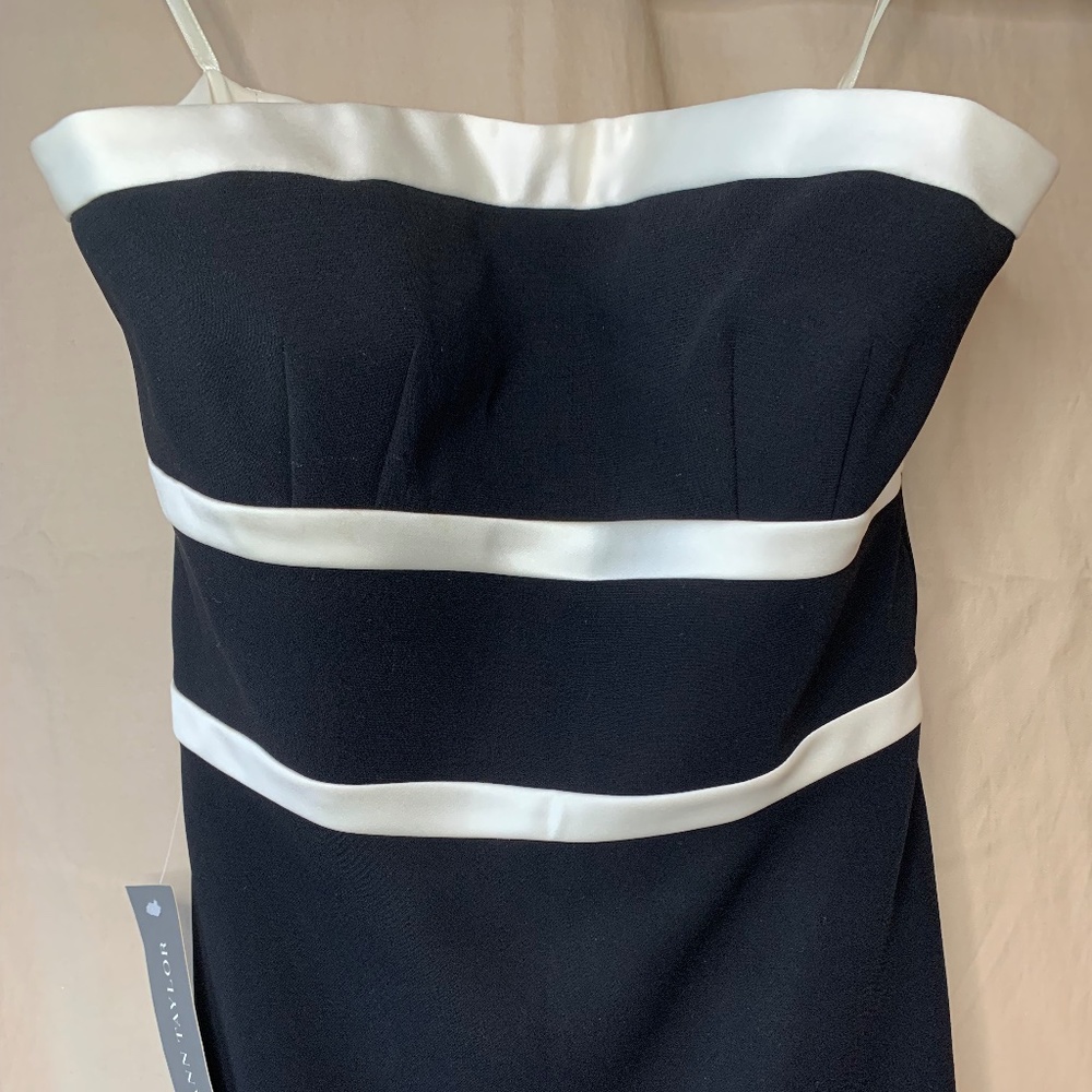 TAGS ATTACHED Vintage Ann Taylor (2003) Tiffany Style Formal Dress